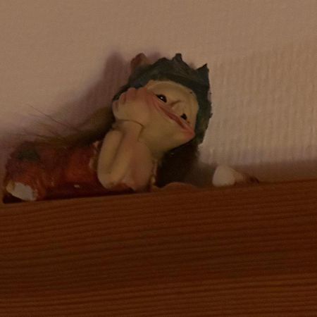 Trollhus - Grosses Familienfreundliches Ferienhaus Born Luaran gambar