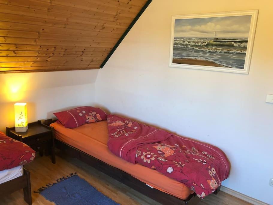 Trollhus - Grosses Familienfreundliches Ferienhaus Born Luaran gambar
